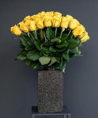 Розы Россия 25 шт - Желтый